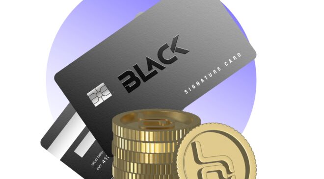 BlackCardCoin (BCCoin) là gì mà giá tăng liên tục 30 ngày từ ngày ra mắt